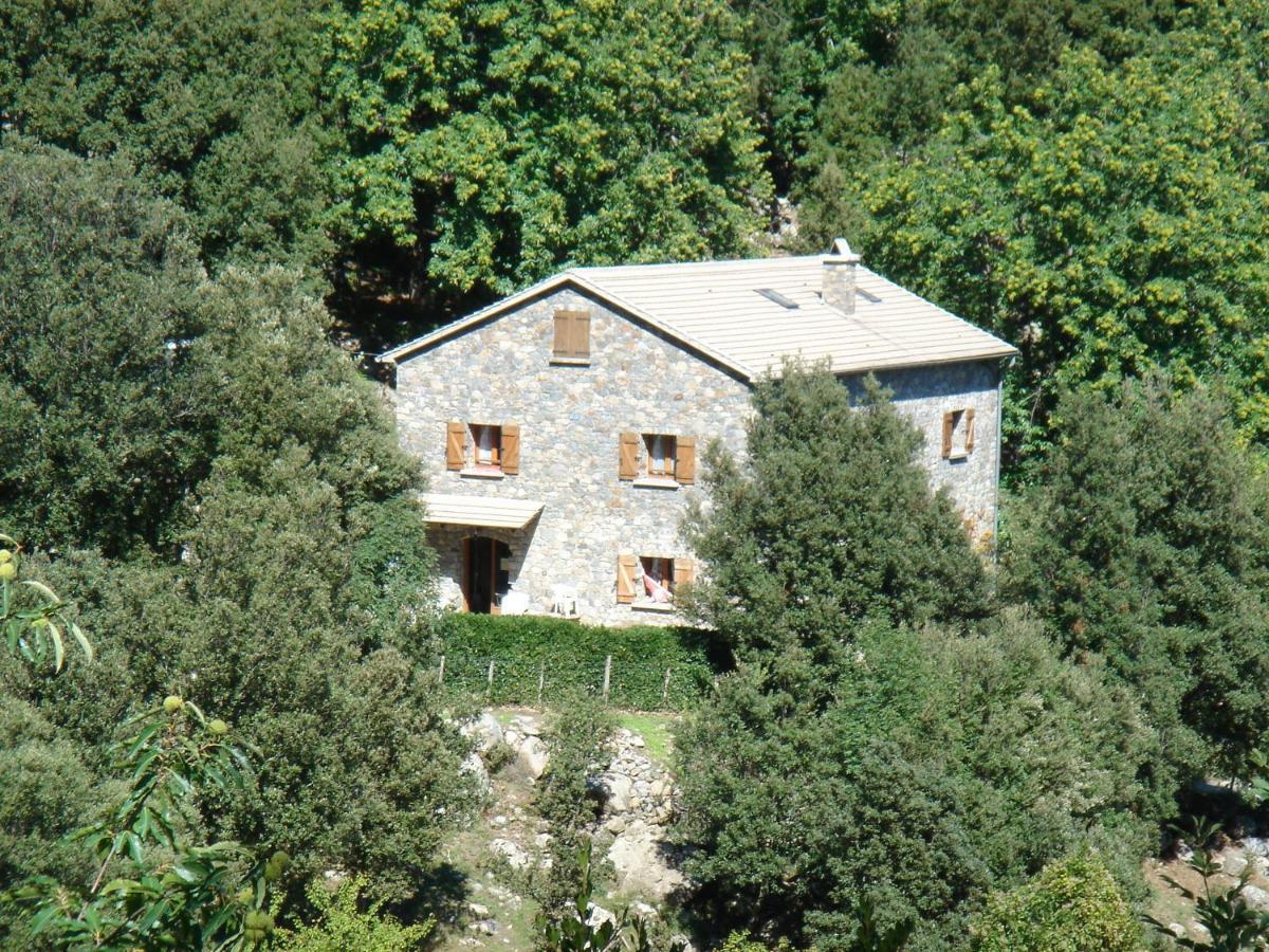 Chambre D'Hote "Chez Antoinette Et Charles" Santo-Pietro-di-Venaco Екстериор снимка