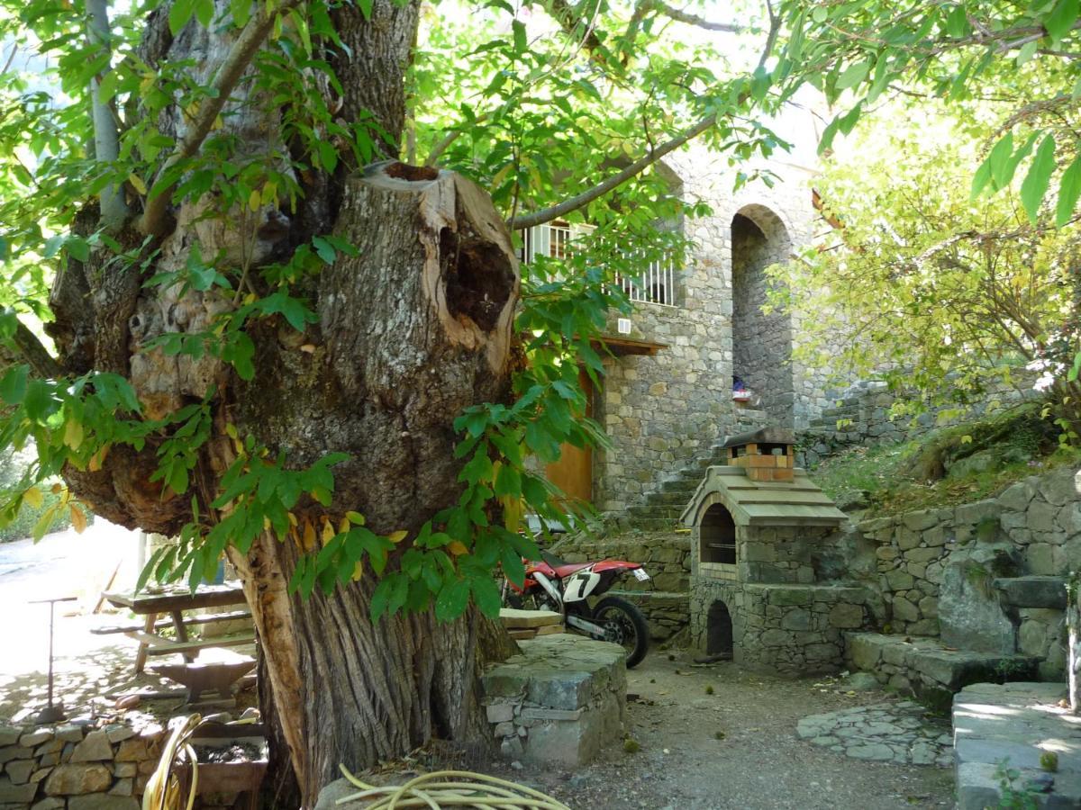 Chambre D'Hote "Chez Antoinette Et Charles" Santo-Pietro-di-Venaco Екстериор снимка