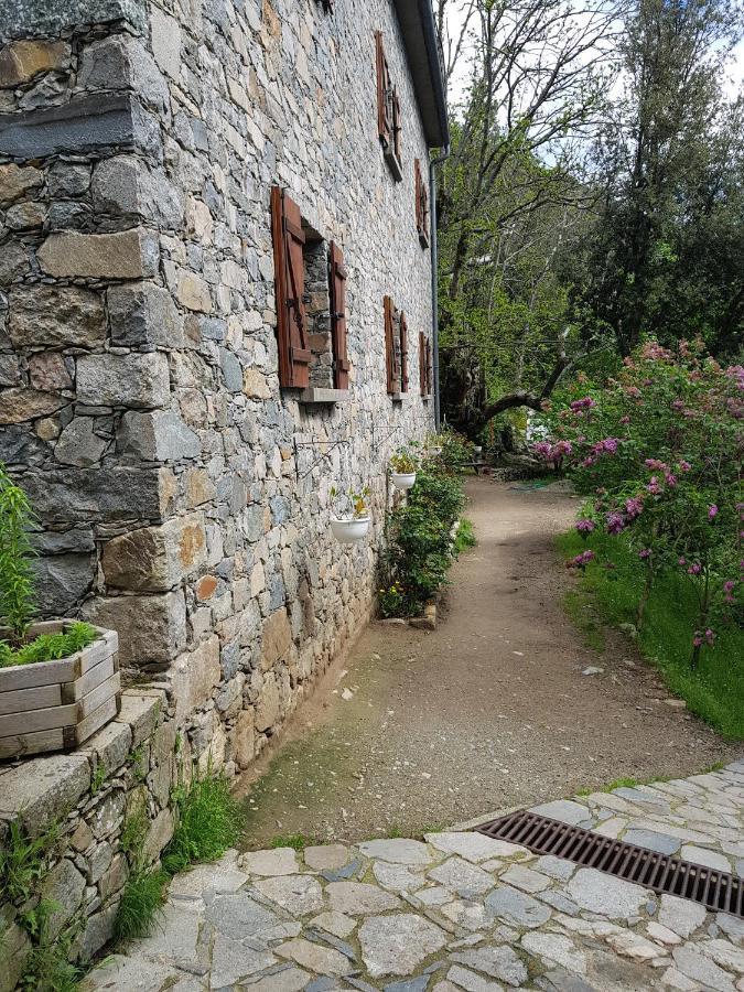 Chambre D'Hote "Chez Antoinette Et Charles" Santo-Pietro-di-Venaco Екстериор снимка